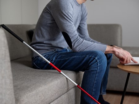 نابینایان و دیوار بلند اشتغال