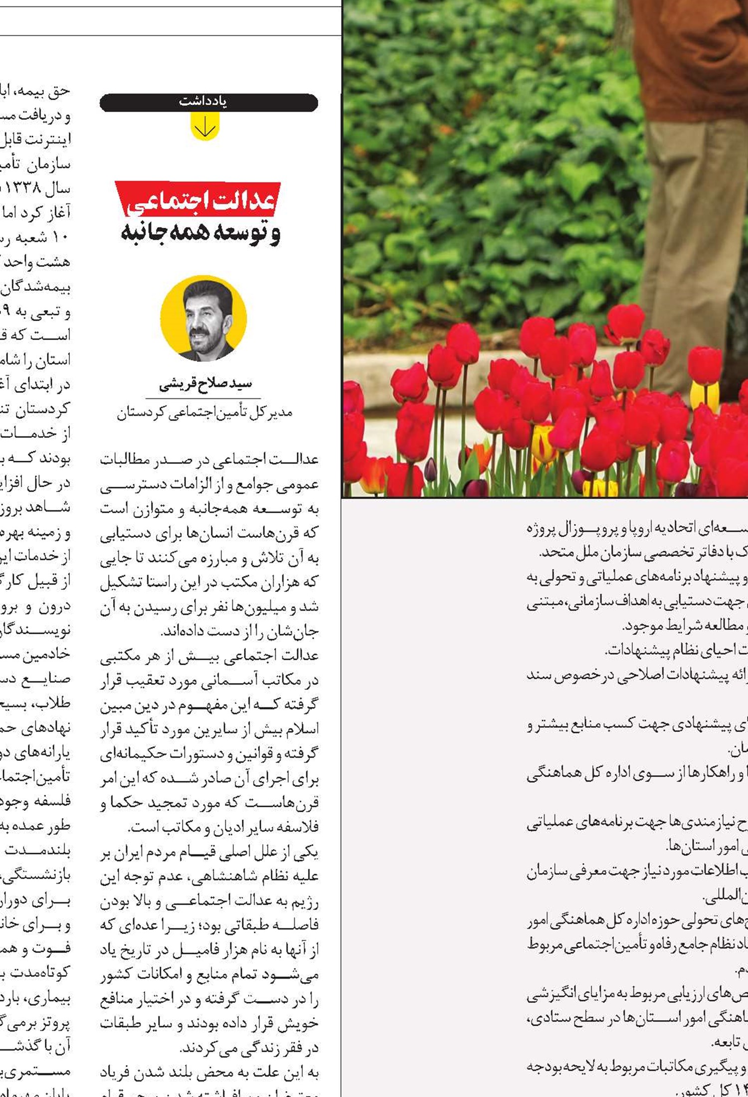 رشد 35 درصدی فروش