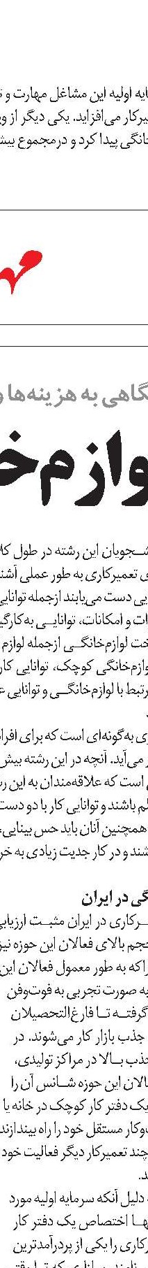 افزایش زنان تعمیرکار