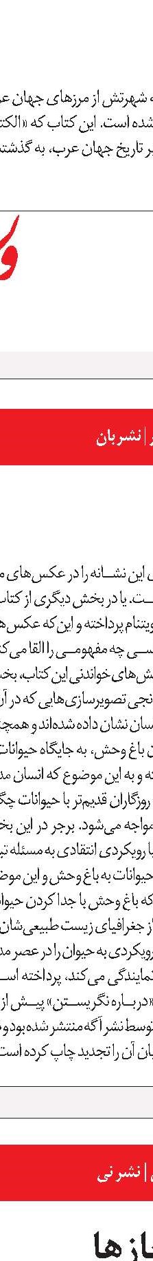 «دن کیشوت» سروانتس