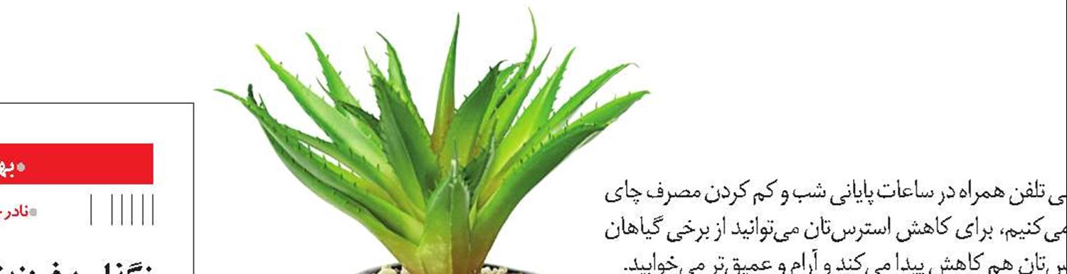 آلوئه‌ورادرمانی کنید