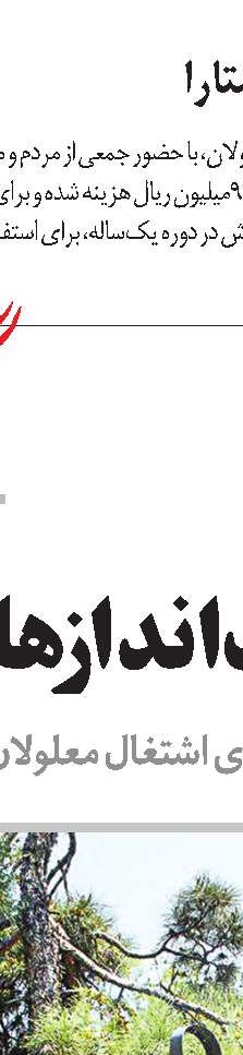 نقش ان‌جی‌اوها در بهبود اشتغال  معلولان