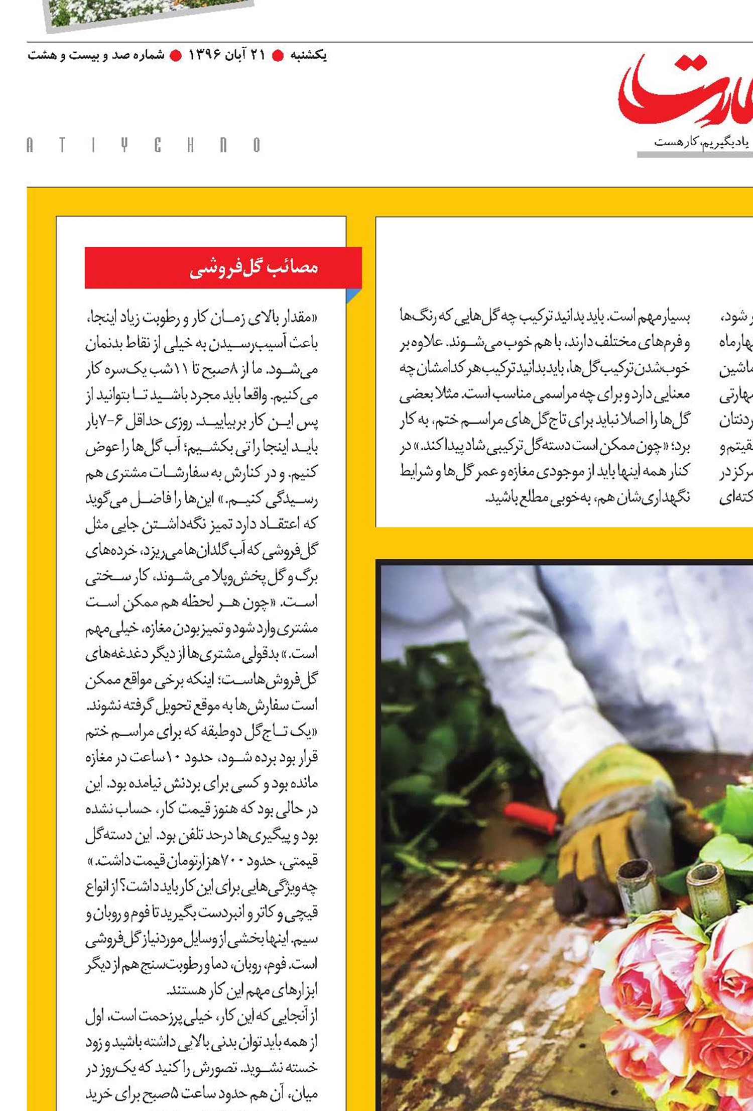 وز گل عزیزتر، چه ستانی به سیم گل؟