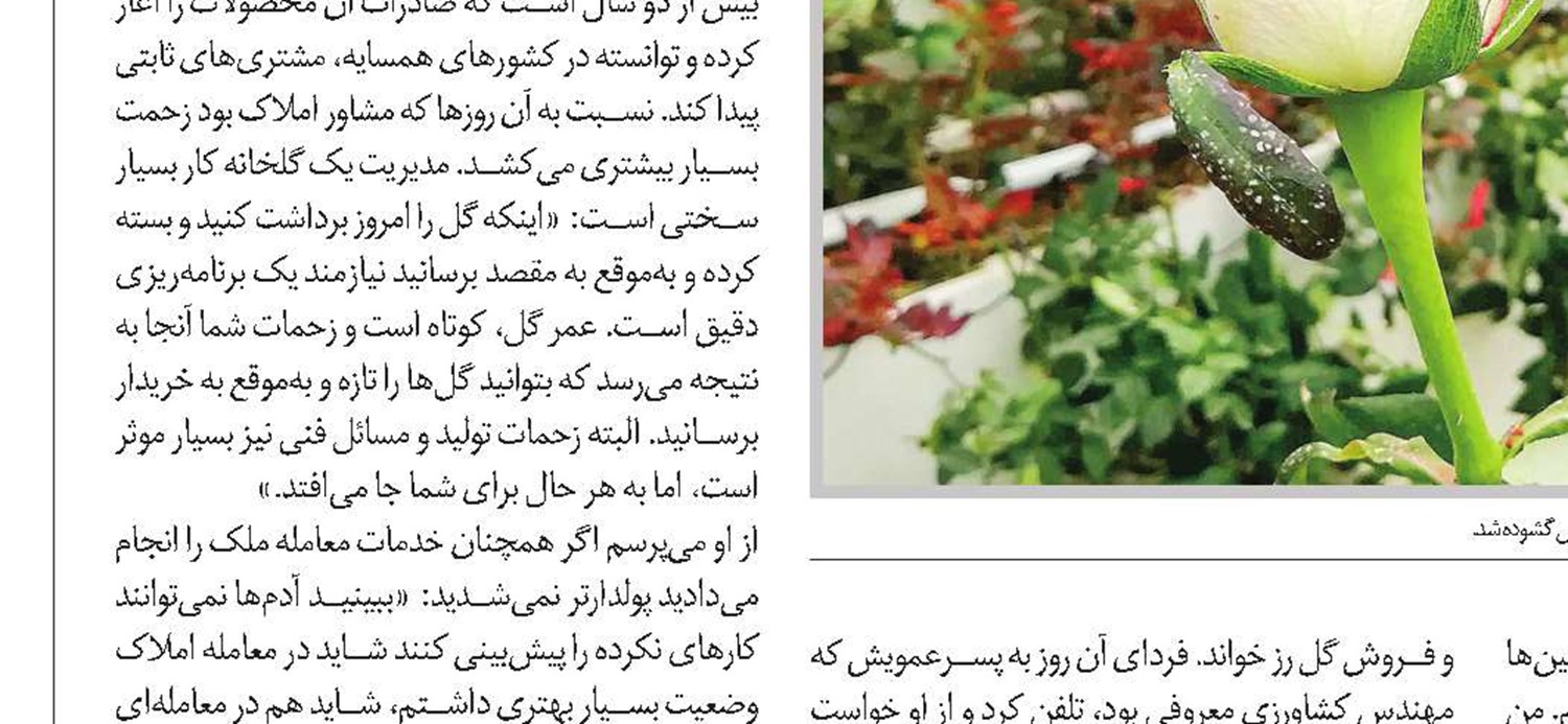 کسب درآمد با تولید محتوای کاربردی در شبکه‌های اجتماعی
