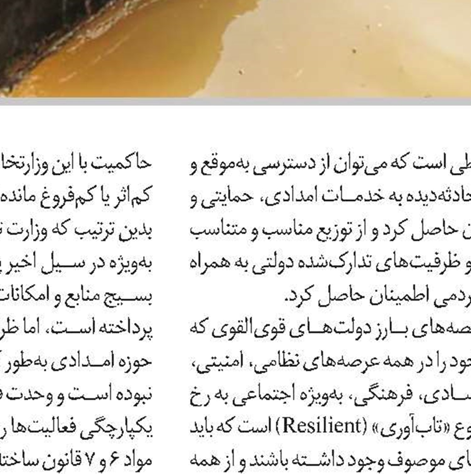 روی دیگر سکه سیل