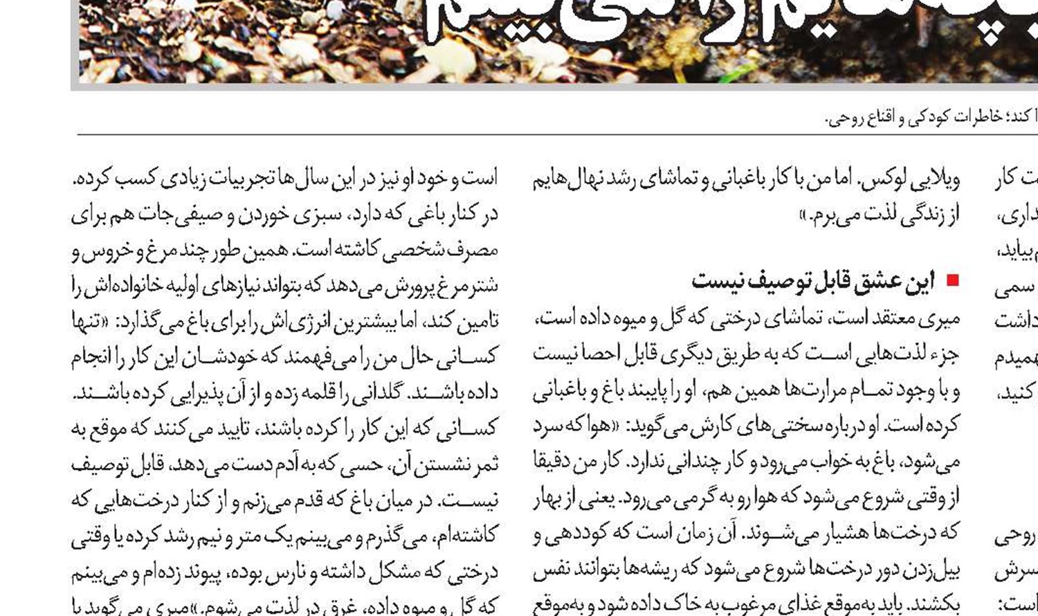 در جست‌و‌جوی مشتری‌های رویایی