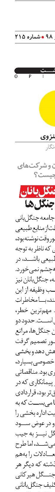 نگاه نگران جنگل‌بانان به سازمان جنگل‌ها