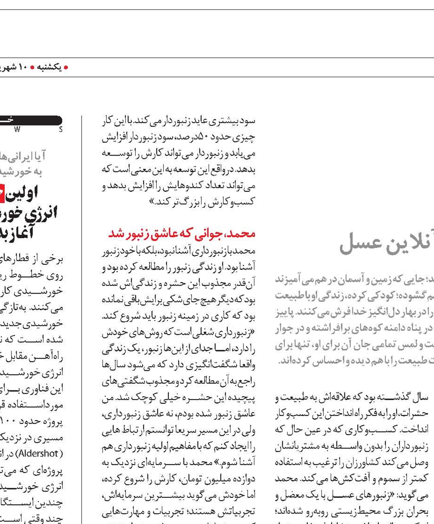 عشق به زنبورها و خلق یک کارآفرینی پرسود 