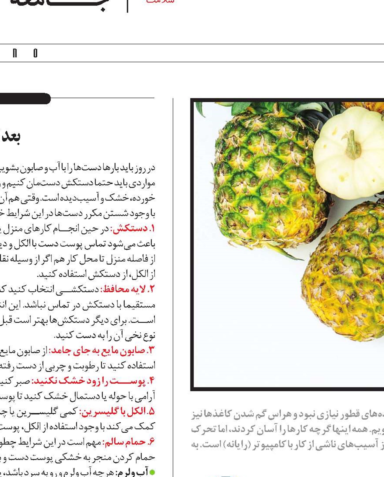 من، غذا، رایانه!