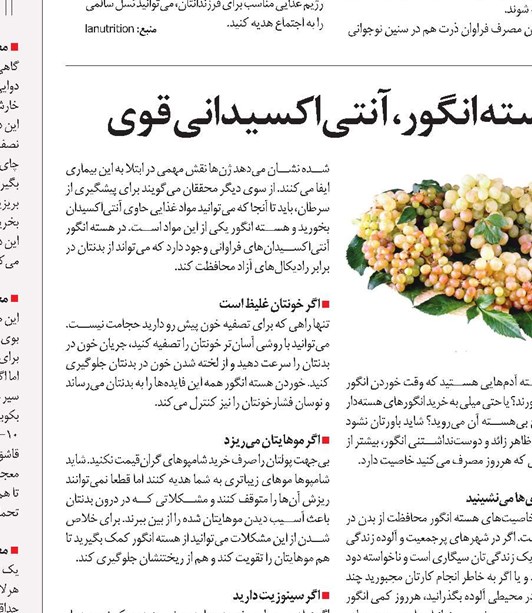 هسته انگور،آنتیاکسیدانی قوی