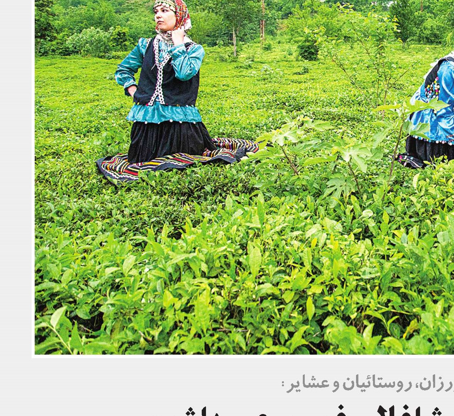 می‌خواهیم بیمه‌گذار شاغلان غیررسمی باشیم
