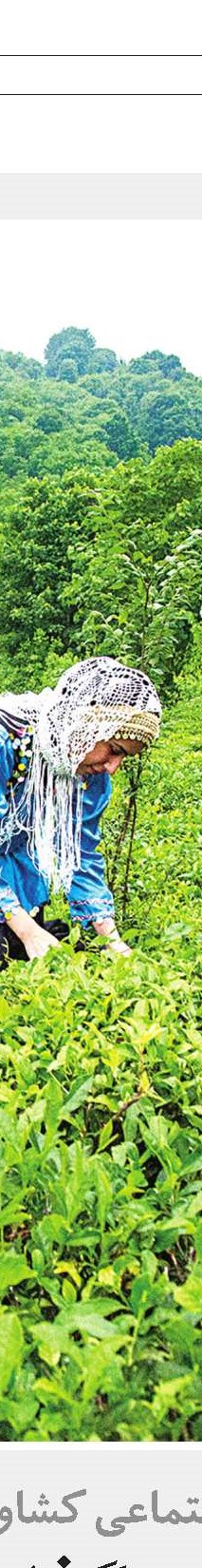 آمار سالمندان دیابتی رو به افزایش است