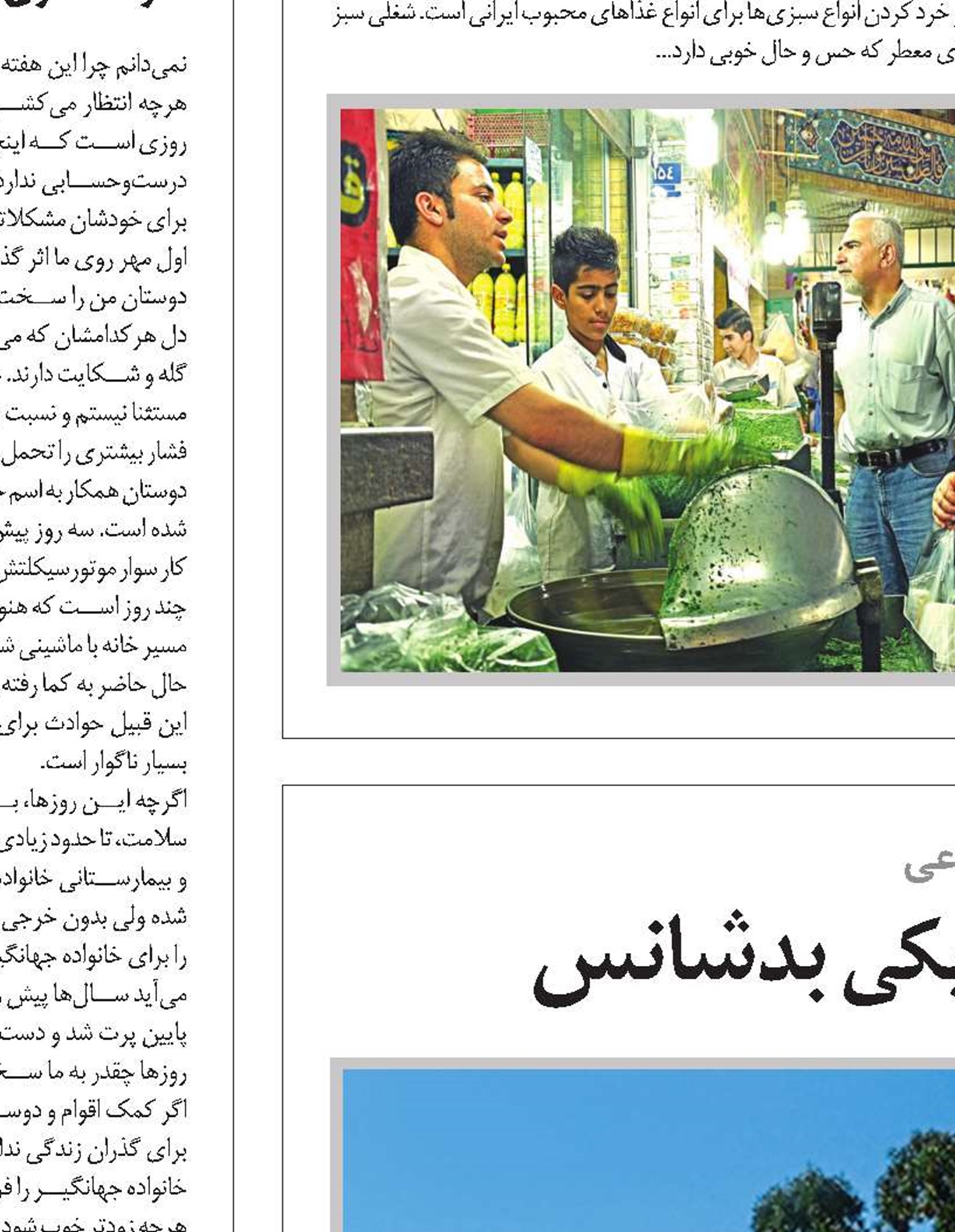 دو بلوط، یکی خوش‌شانس و یکی بدشانس