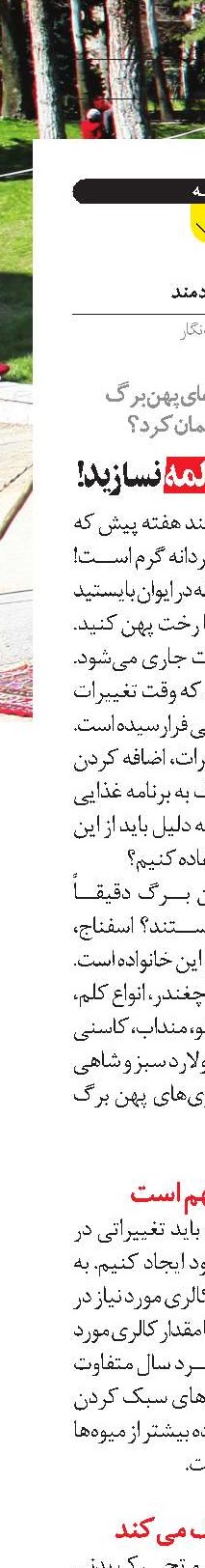 با برگ فقط دلمه نسازید!