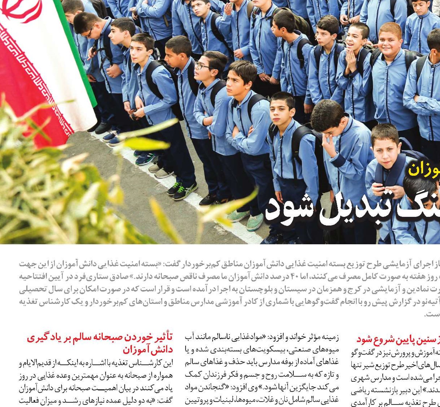 تغذيه سالم بايد به يک فرهنگ تبديل شود