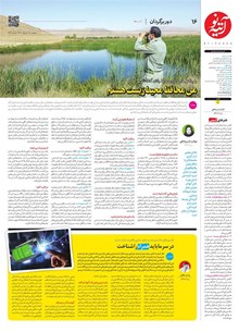 page
