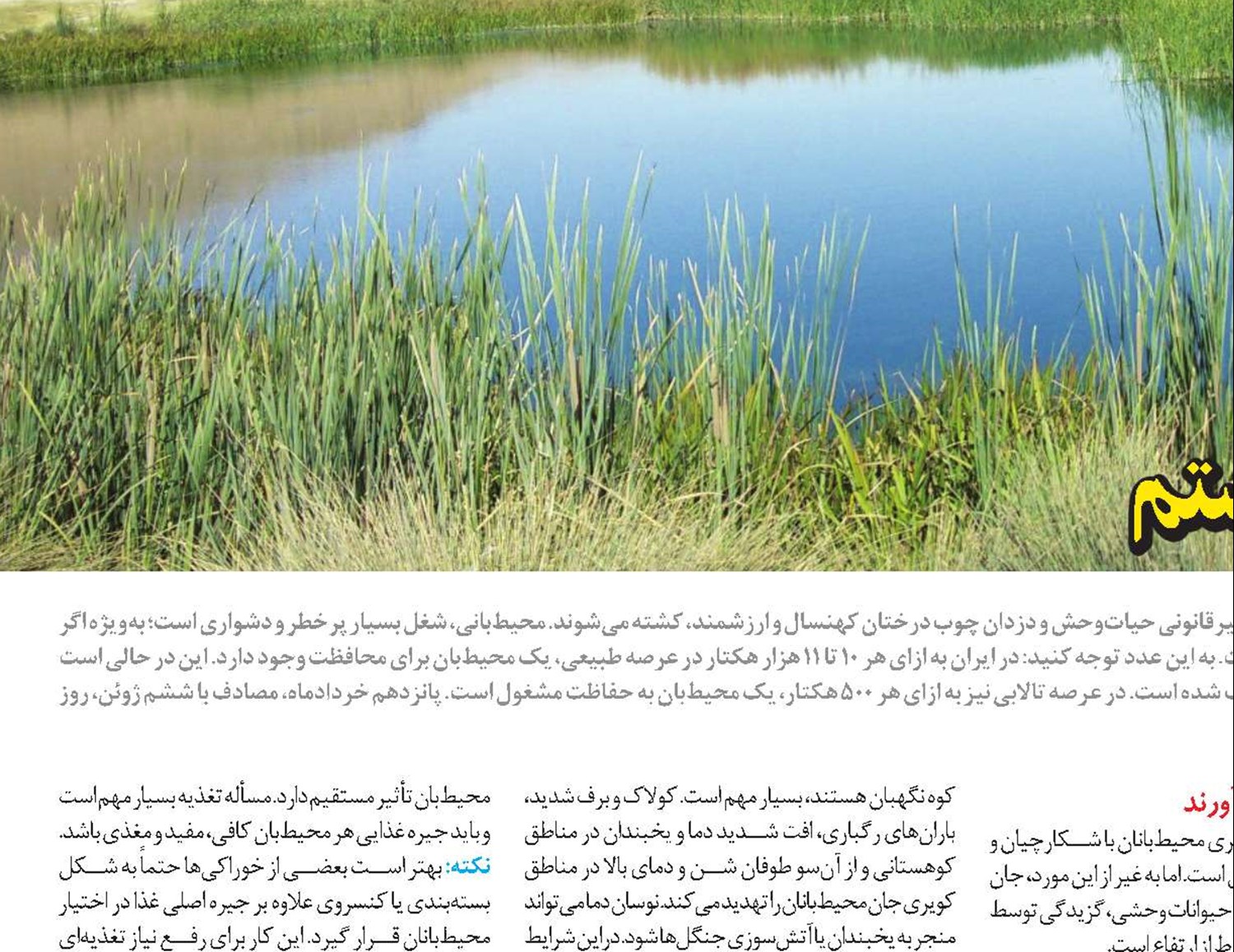 من محافظ محيط‌زيست هستم
