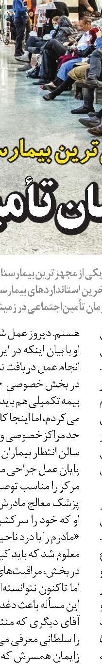  از تخم‌مرغ گياهی  چه می‌دانيد؟!