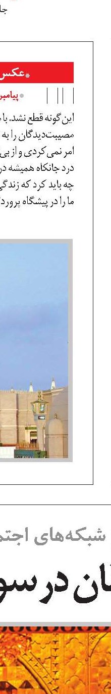 تنهاترین پرنده جهان