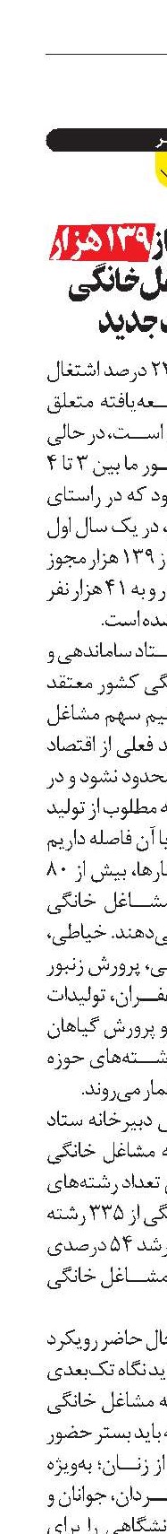 اعطای بیش از 139 هزار مجوز مشاغل خانگی  در دولت جدید