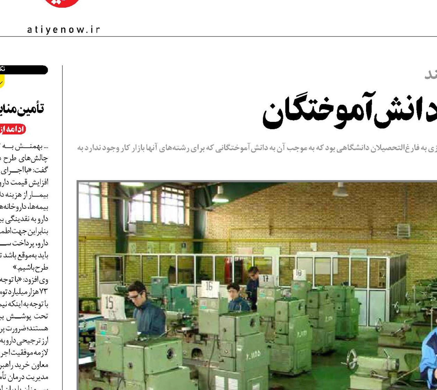 نخلستان‌؛ طرحی برای اشتغال دانش‌آموختگان