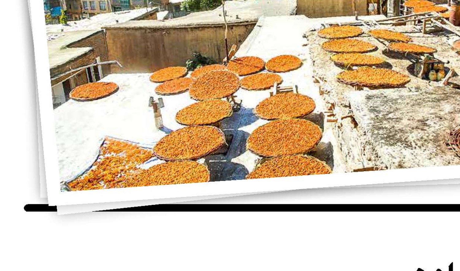 فرهنگ عمومی به زبان ساده