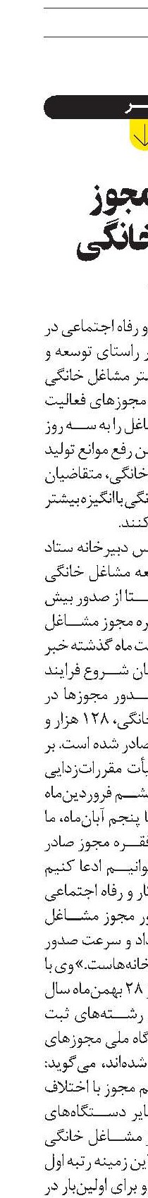 ۷۰ هزار مجوز مشاغل خانگی  در 8 ماه