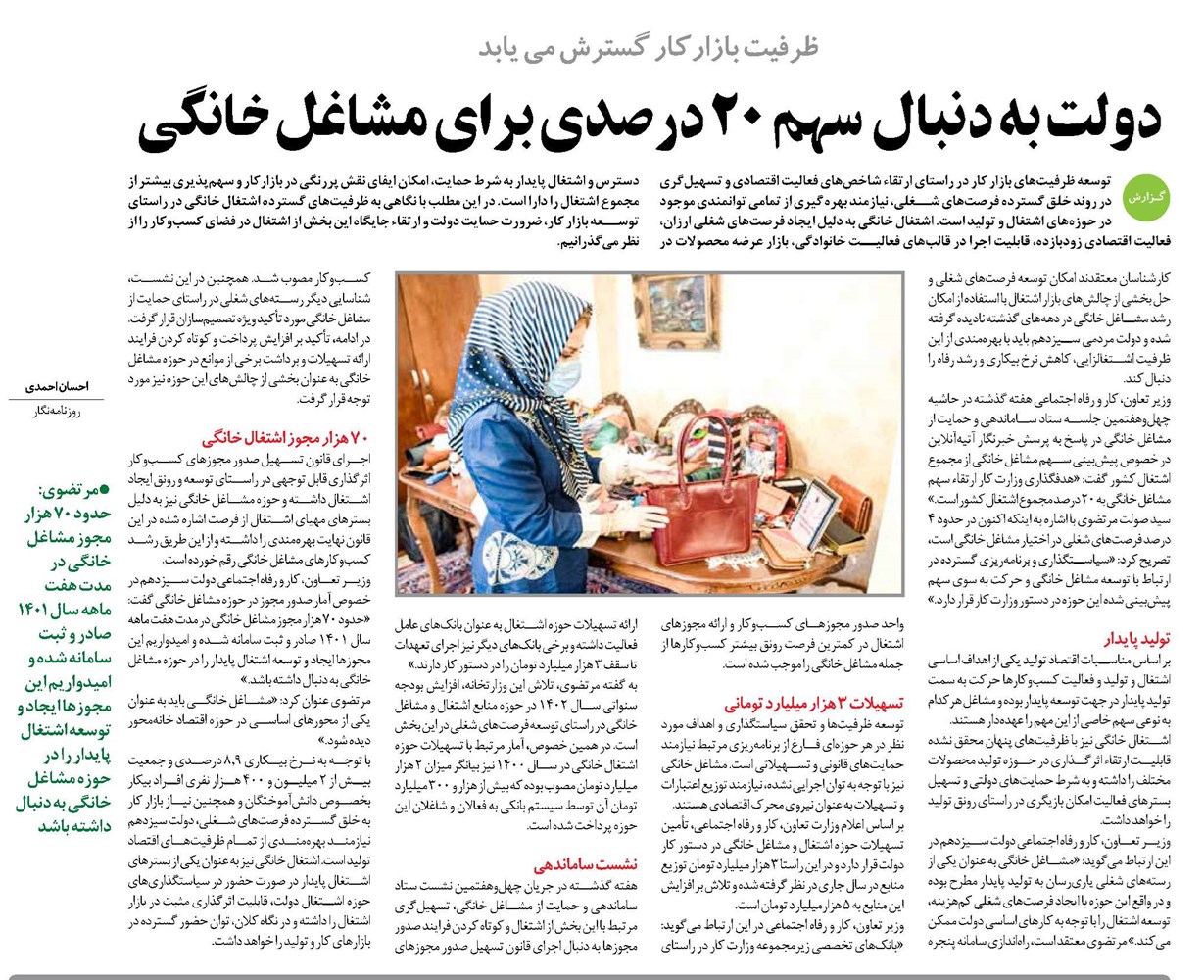 دولت به دنبال سهم 20 درصدی برای مشاغل خانگی