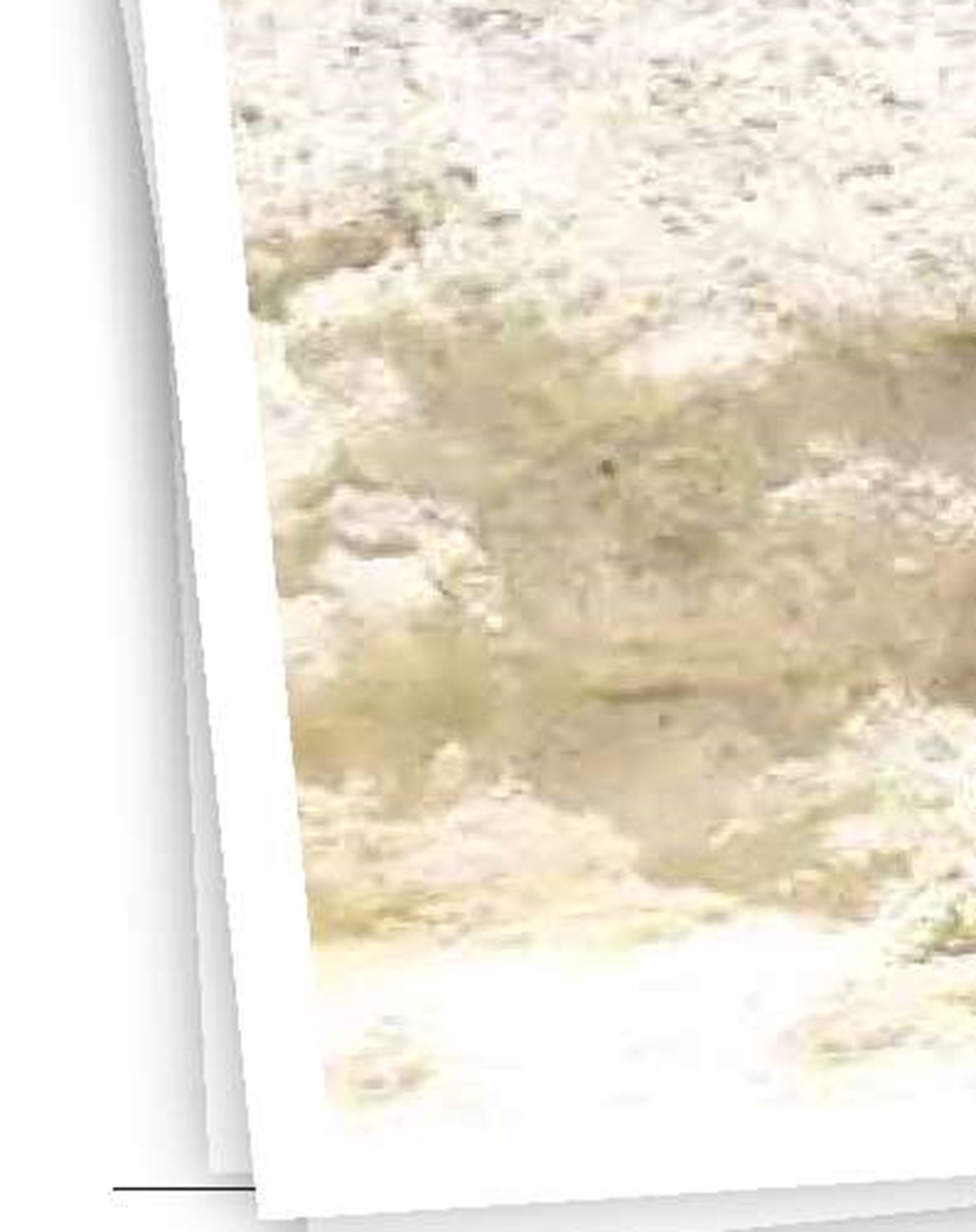 این یه فرصت دوباره‌س...