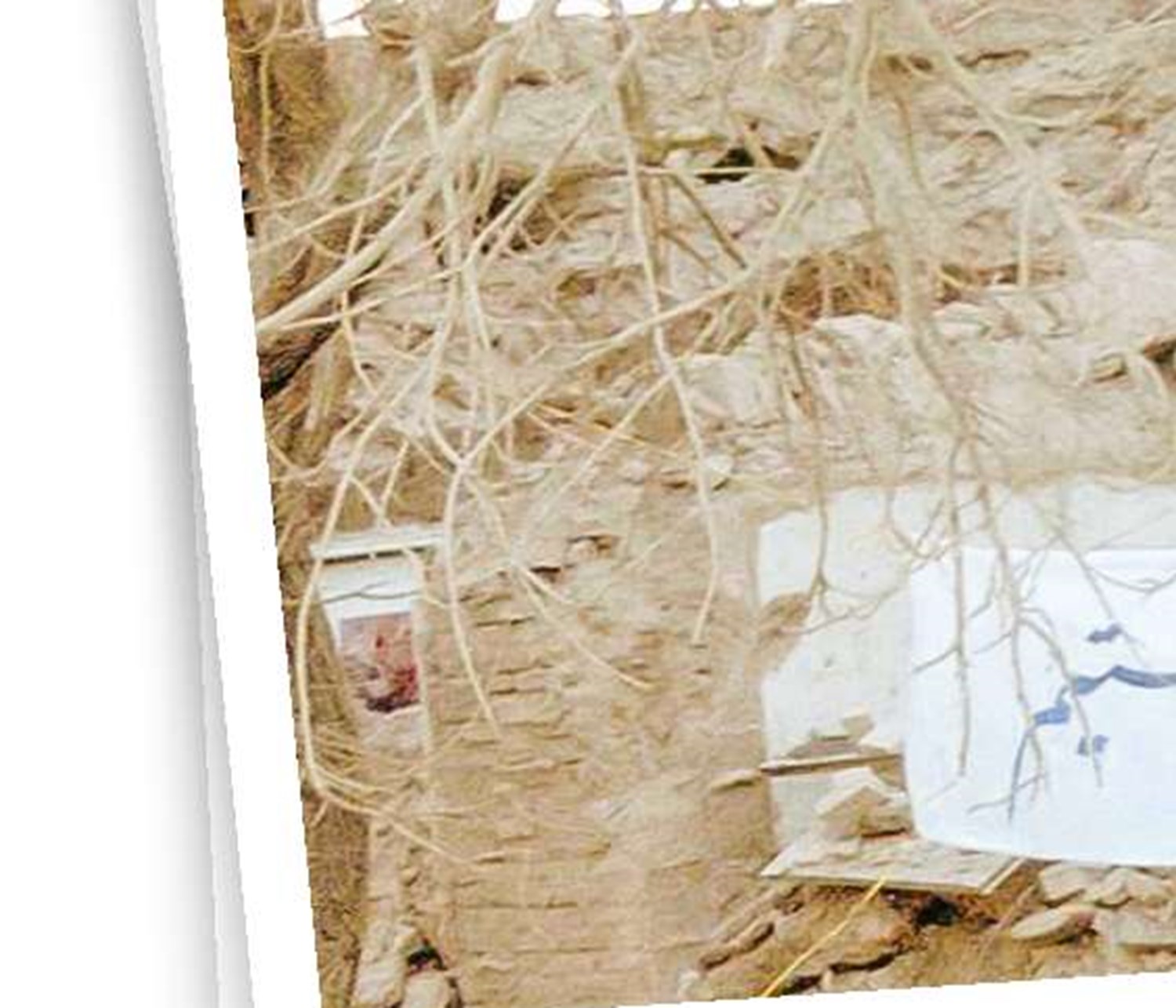 خسارات میلیاردی بلایای طبیعی در جهان