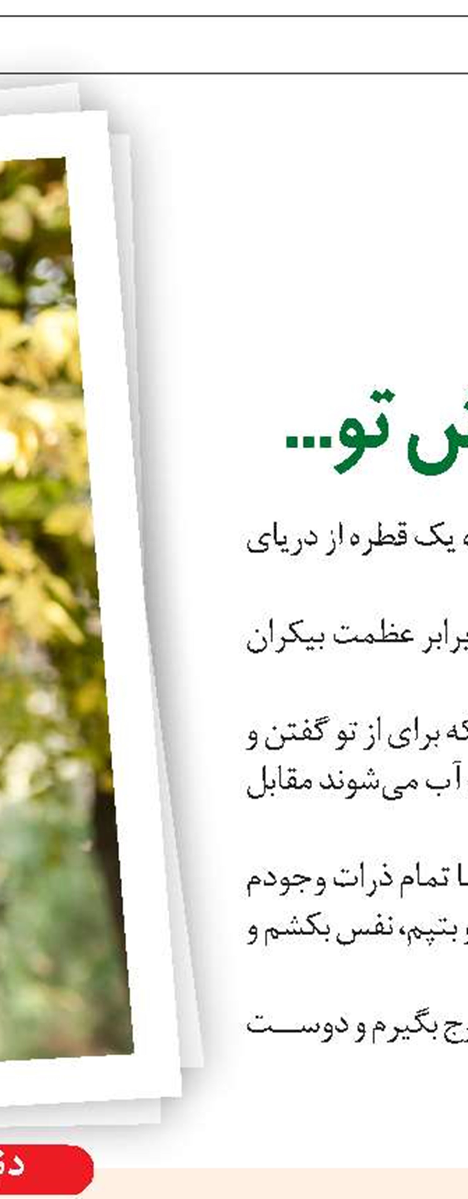 روایتی متفاوت  از یک مادر خشمگین