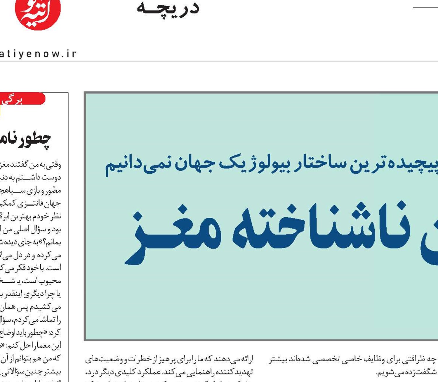 سرزمین ناشناخته مغــز 