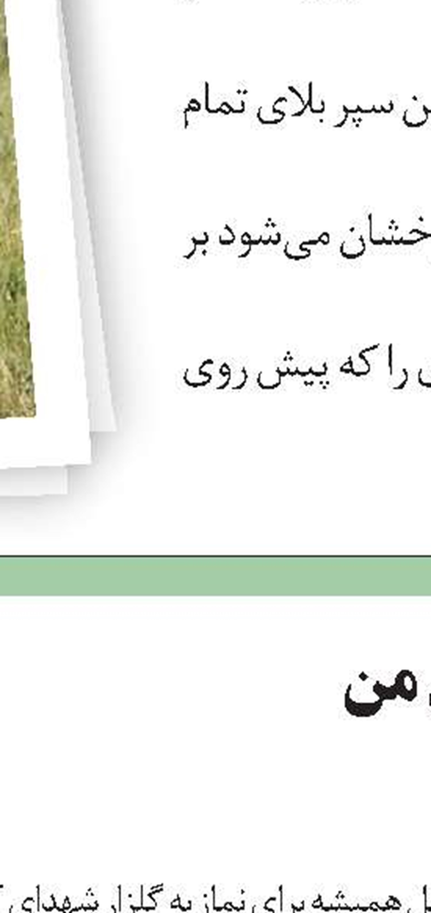 مهدی که به دنیا آمد