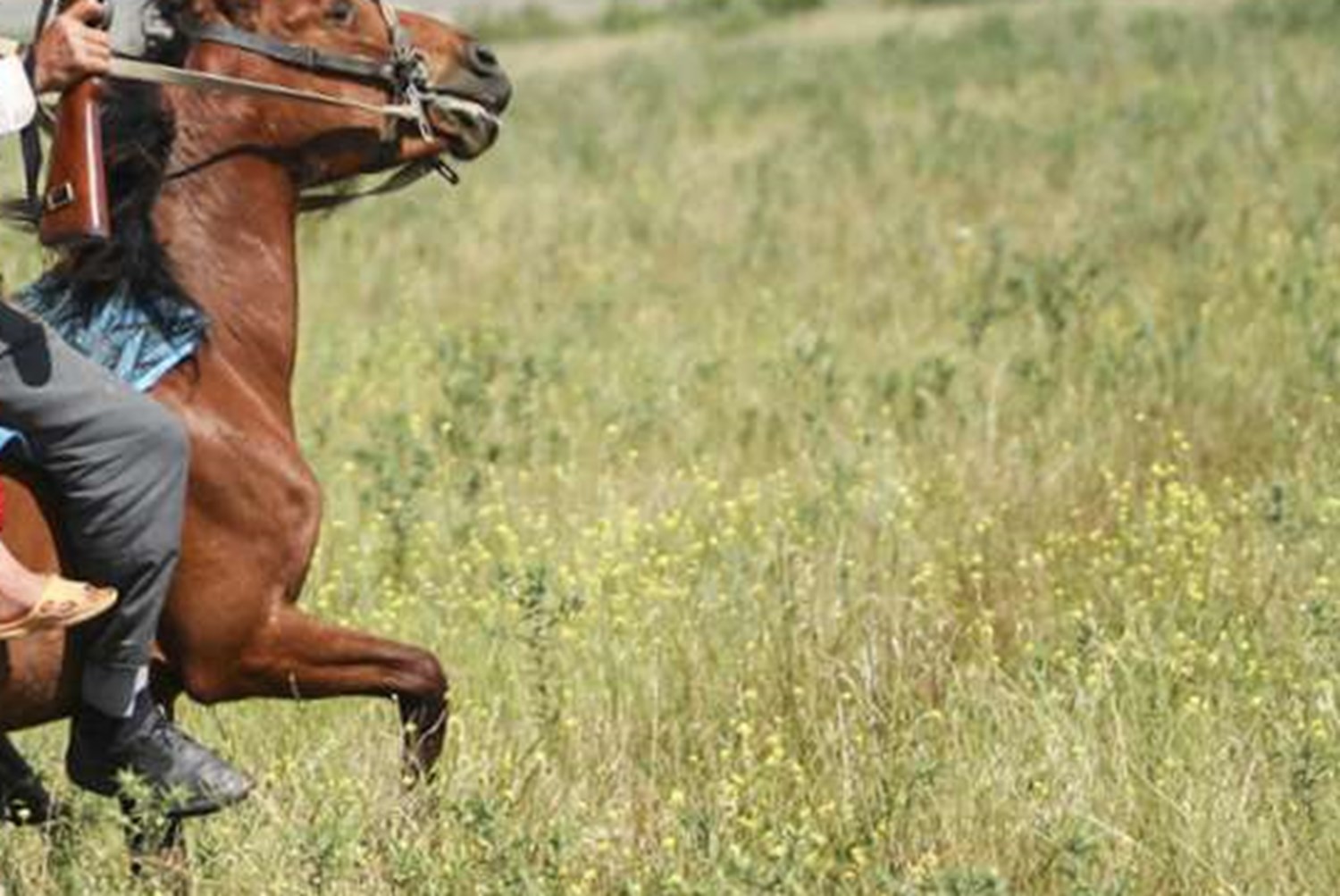 عزیز زیبای من