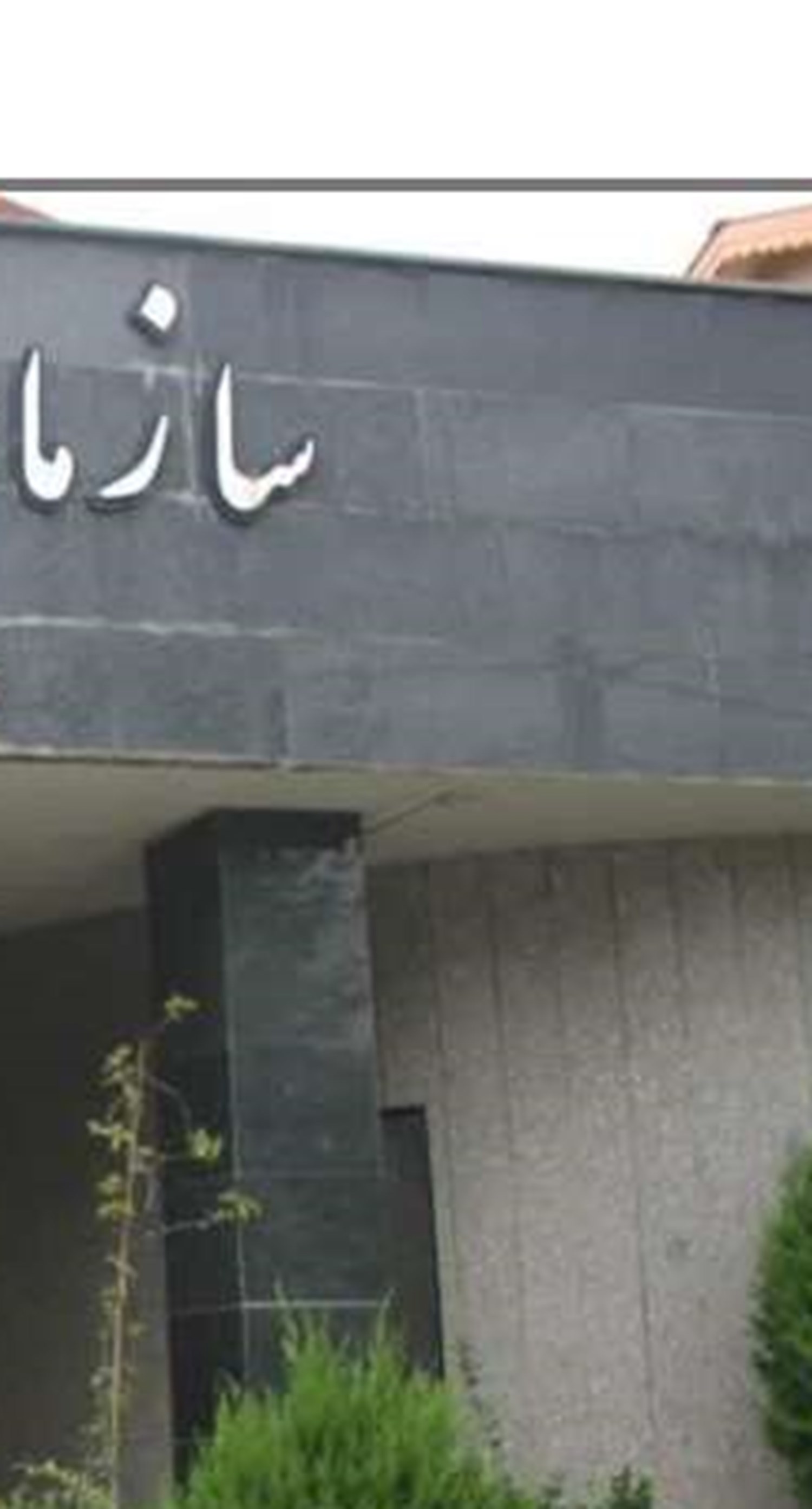 پرداخت 20 میلیارد تومان به مشاغل خانگی ایلام