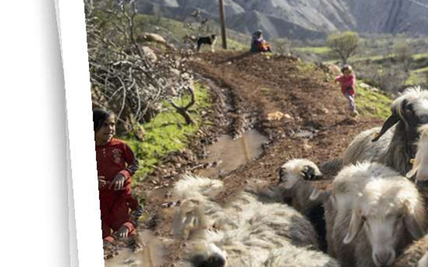 کار جانبی