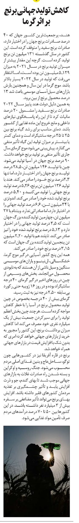 کاهش تولید جهانی برنج بر اثر گرما