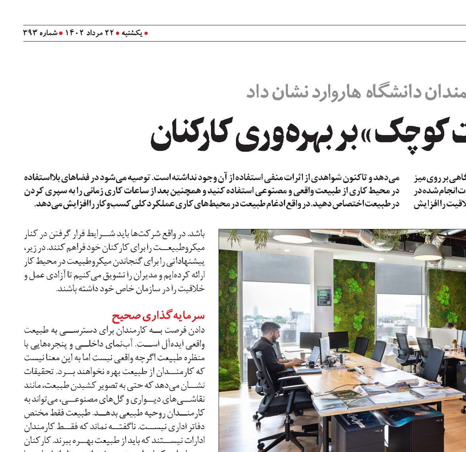 تأثیر مثبت «طبیعت کوچک » بر بهره‌وری کارکنان 