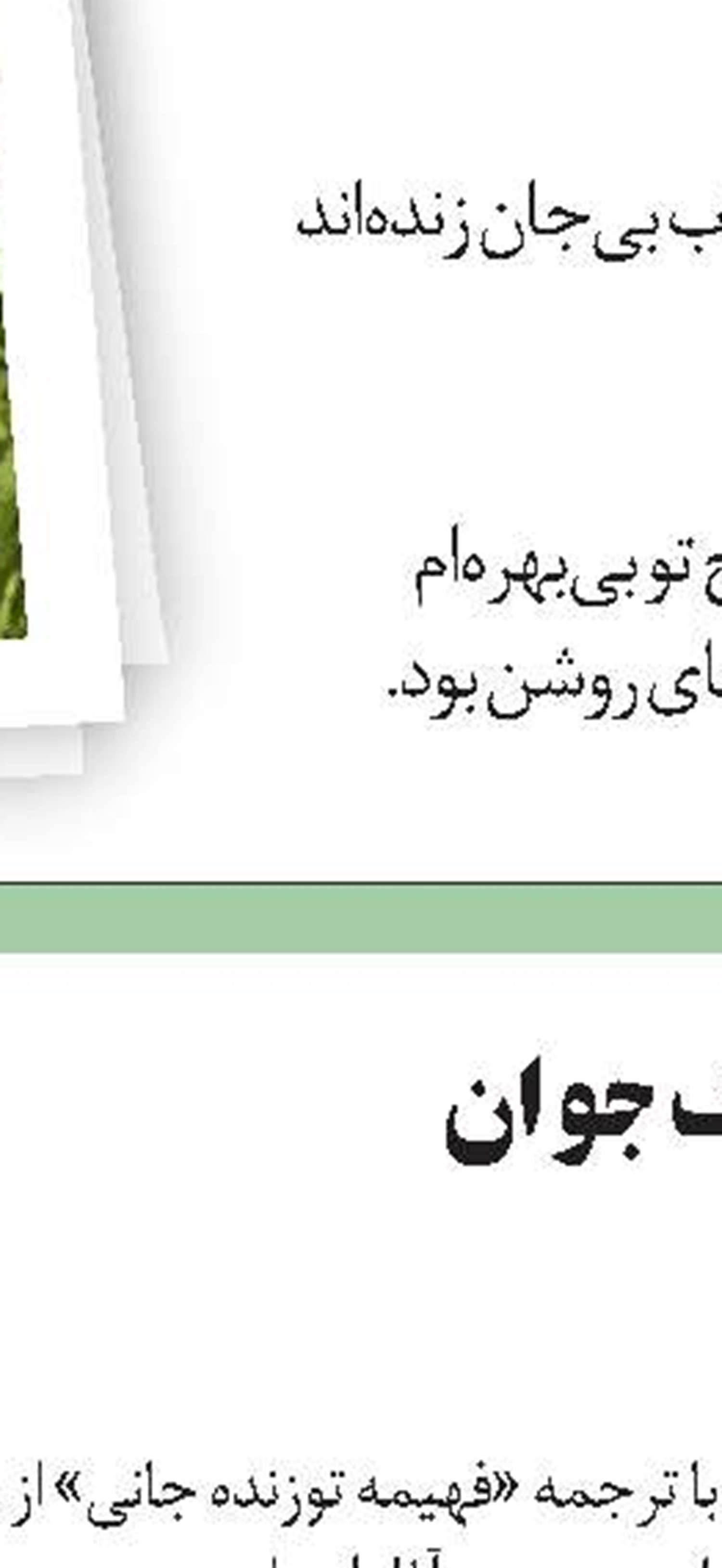 حیات رنگی