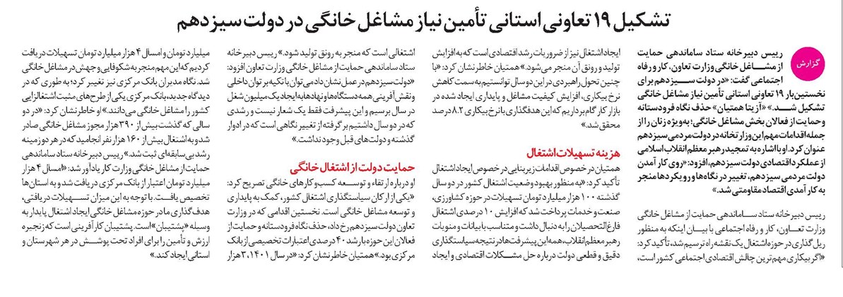 تشکیل ۱۹ تعاونی استانی تأمین نیاز مشاغل خانگی در دولت سیزدهم