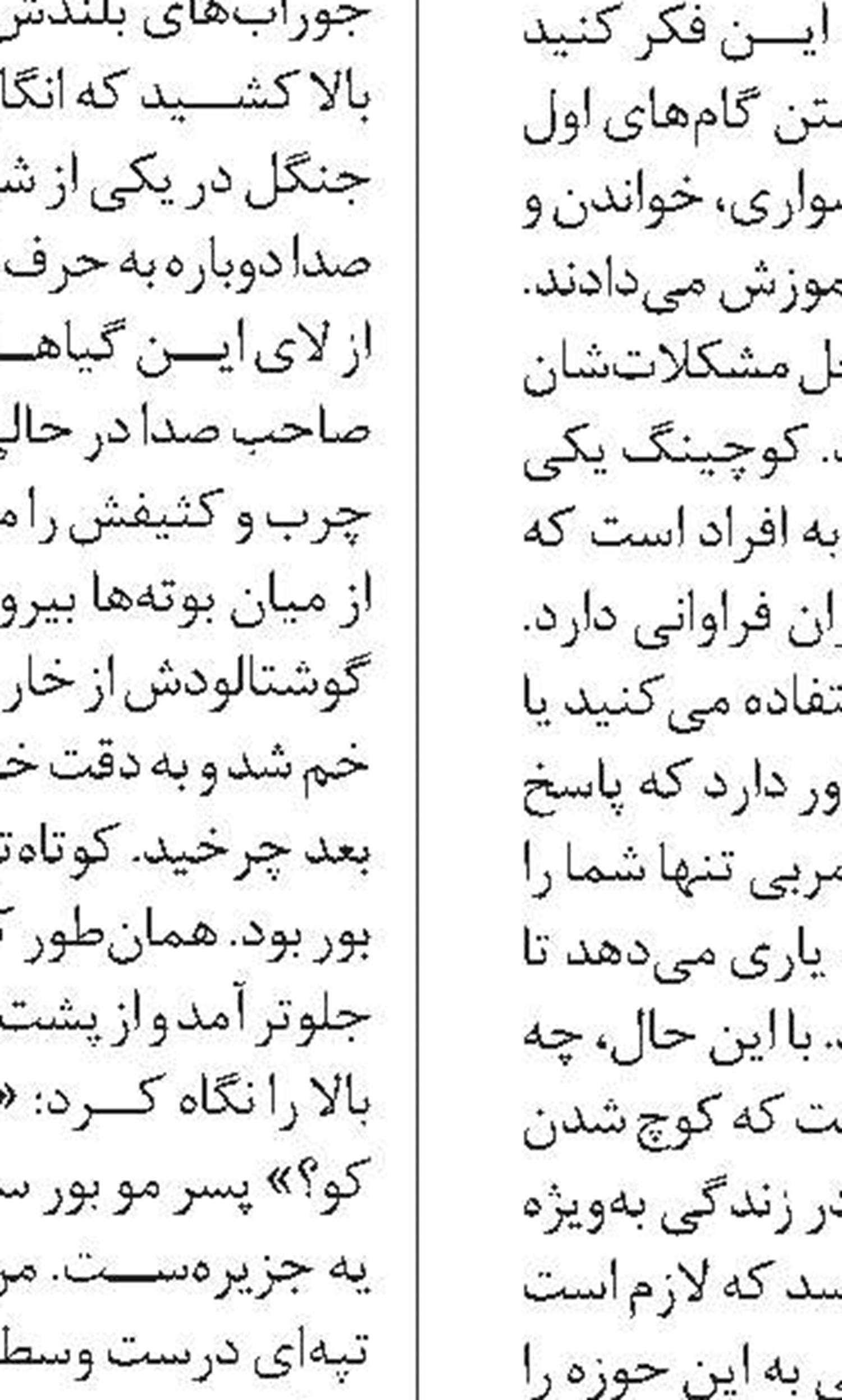 نگینی در جنوب ایران