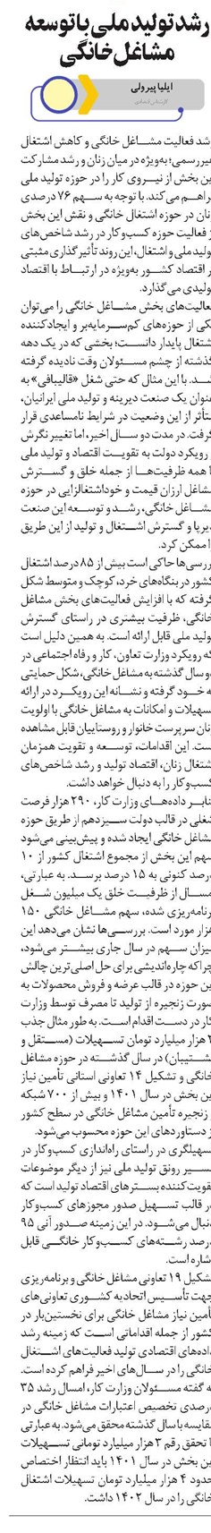 رشد تولید ملی با توسعه مشاغل خانگی