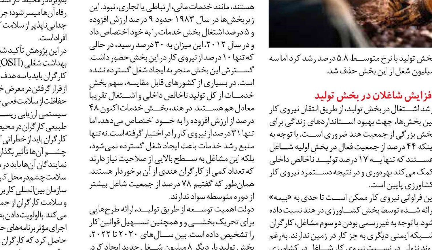 نرخ پایین زاد‌و‌ولد در سنگاپور و نتایج آن بر رفاه جامعه