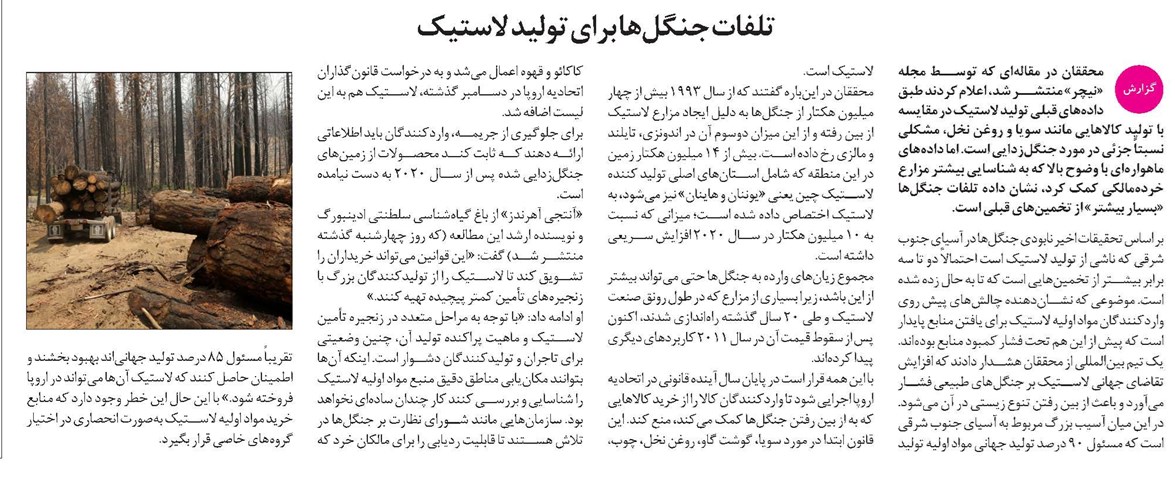 تلفات جنگلها برای تولید لاستیک