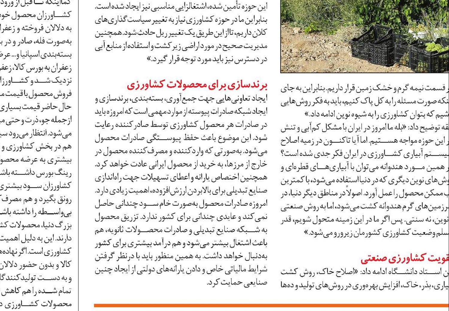 کوتاه‌شدن دست دلالان با عرضه محصولات کشاورزی در بورس کالا