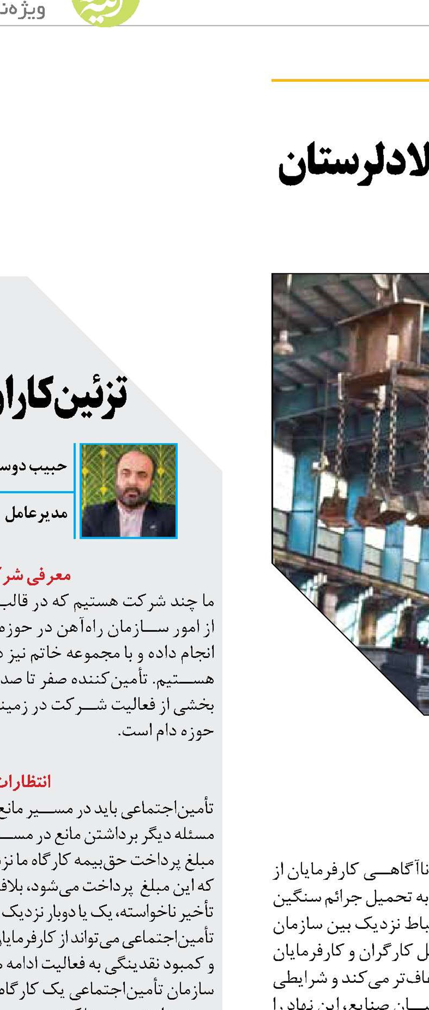 مجتمع فولاد لرستان