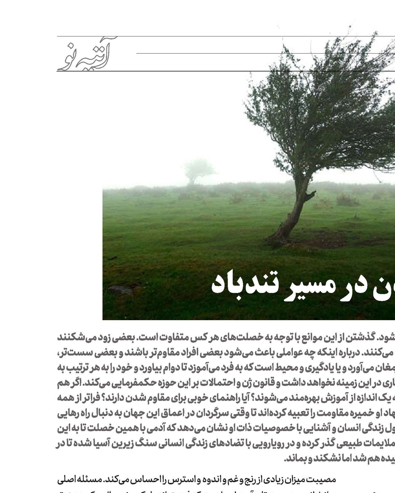 تاب‌آوردن در مسیر تندباد 