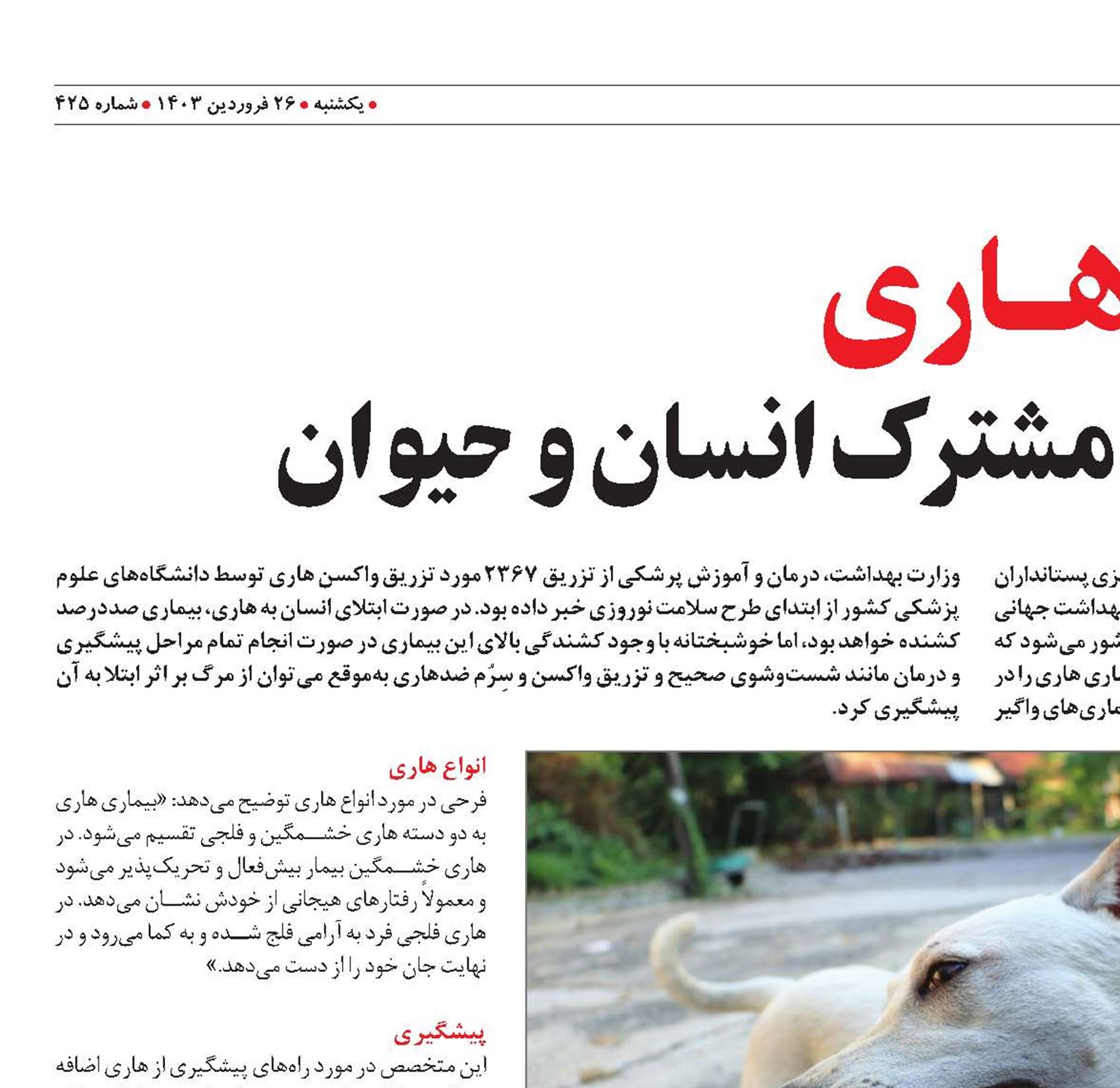 هــاری بیماری عفونی مشترک انسان و حیوان