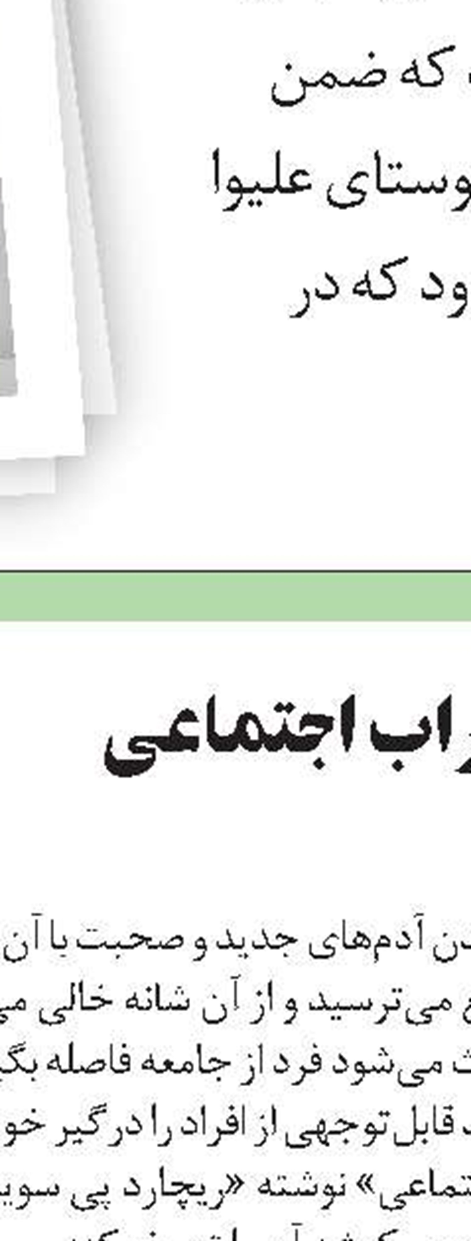 فرار مرغی 2