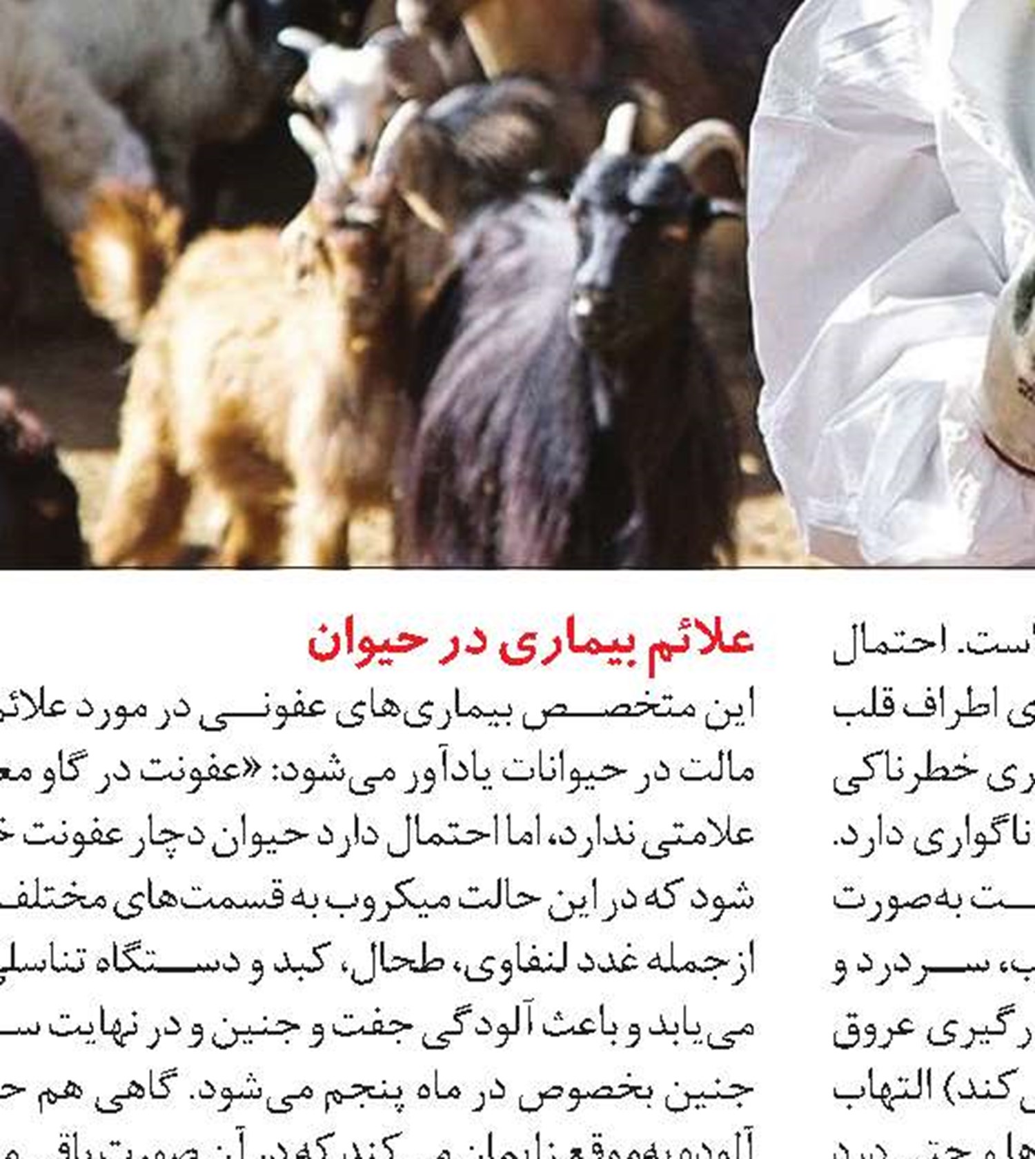 پیشگیری از تب مالت